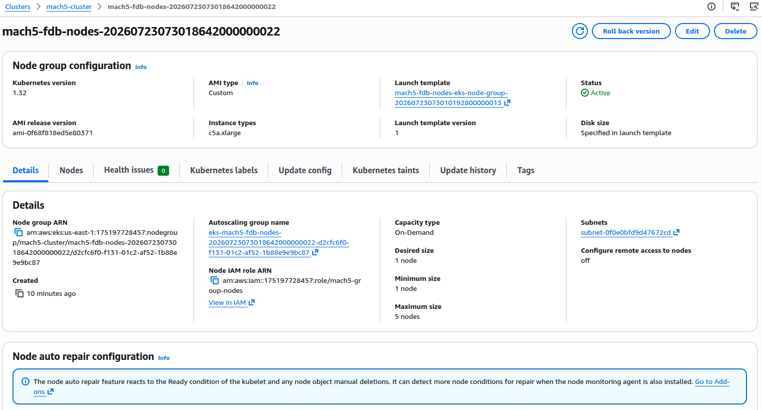 EKS node group details